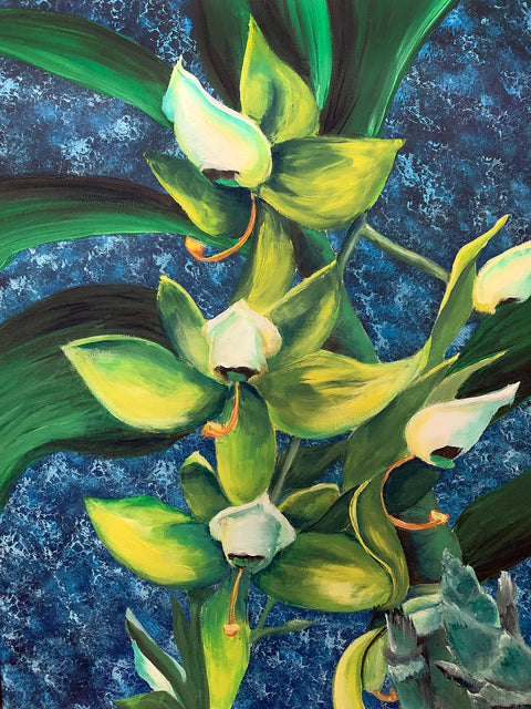 Orchids on Blue